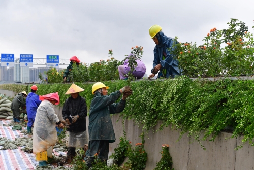 尊时凯龙·Z6(中国区)人生就是拼搏!