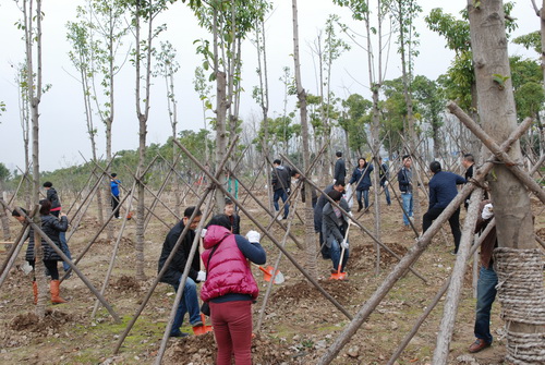 尊时凯龙·Z6(中国区)人生就是拼搏!