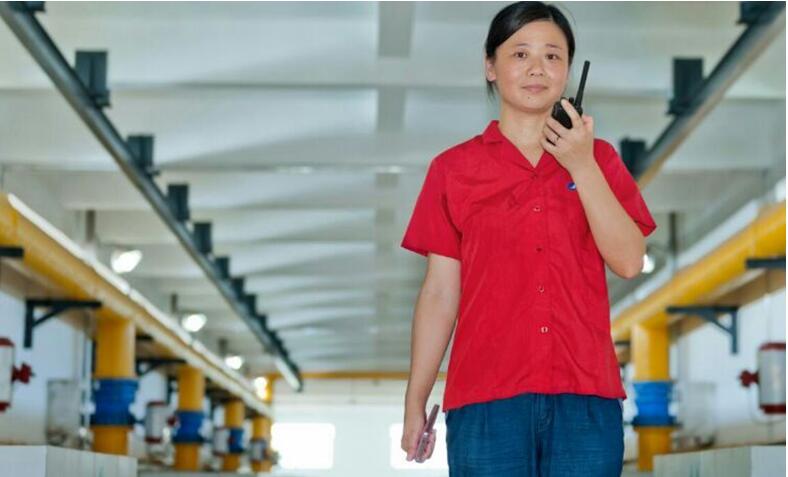 尊时凯龙·Z6(中国区)人生就是拼搏!