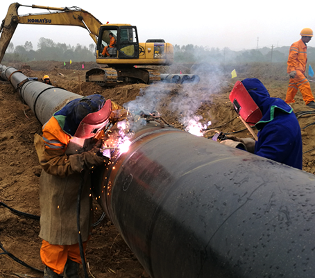 尊时凯龙·Z6(中国区)人生就是拼搏!