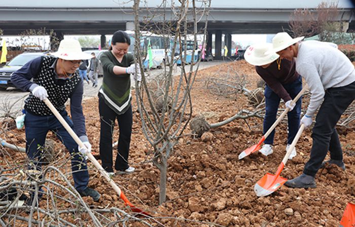 尊时凯龙·Z6(中国区)人生就是拼搏!