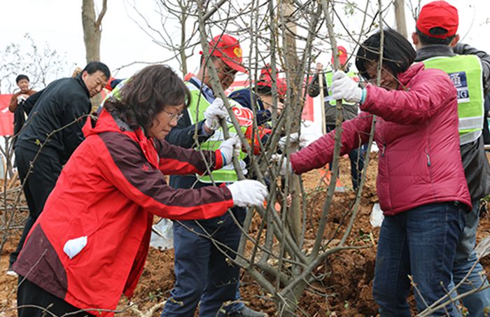 尊时凯龙·Z6(中国区)人生就是拼搏!
