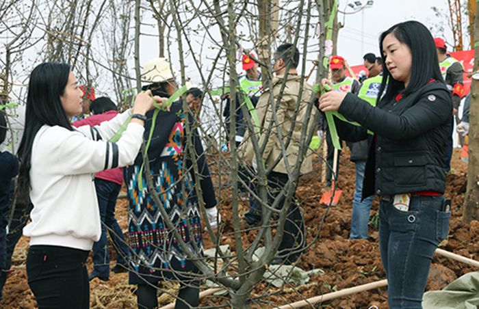 尊时凯龙·Z6(中国区)人生就是拼搏!