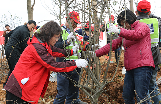 尊时凯龙·Z6(中国区)人生就是拼搏!