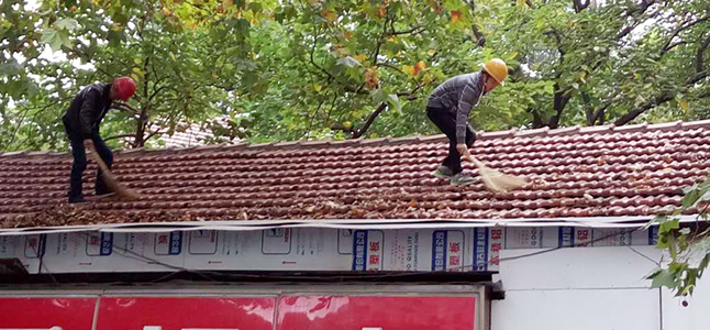 尊时凯龙·Z6(中国区)人生就是拼搏!