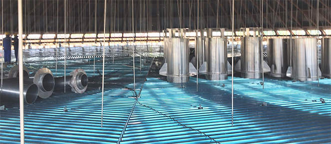 尊时凯龙·Z6(中国区)人生就是拼搏!