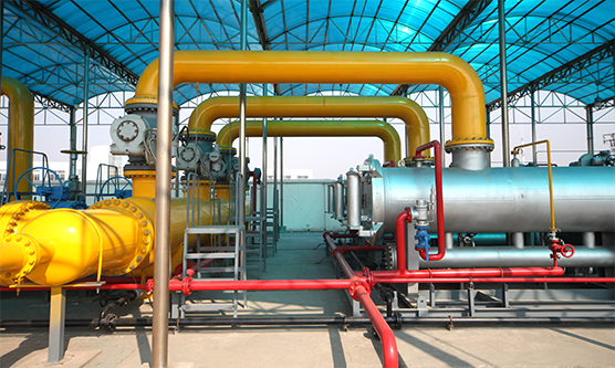 尊时凯龙·Z6(中国区)人生就是拼搏!